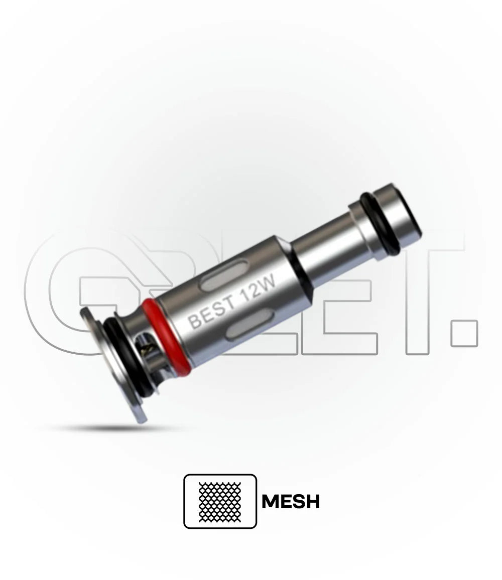 Mesh_2
